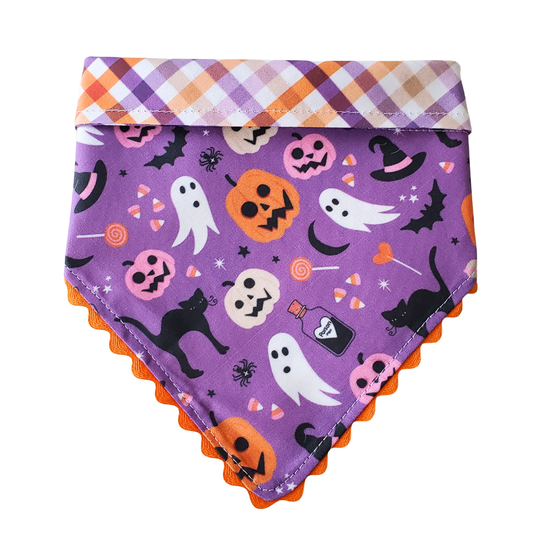 Purple Halloween - Reversible Dog Collar Bandana